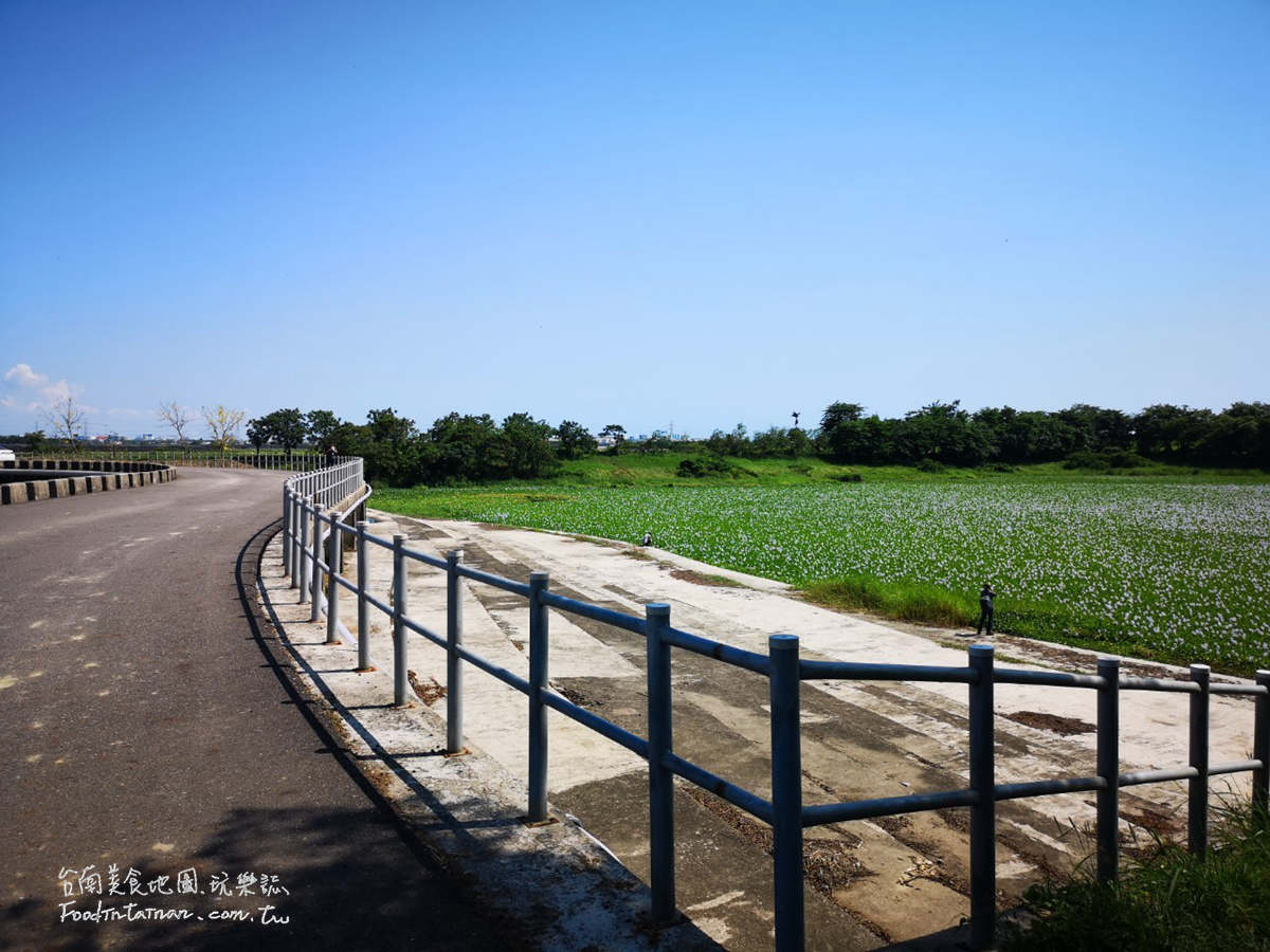 臺南鳳眼蓮布袋蓮仁德滯洪池IG私房美景-二仁溪流域教育中心