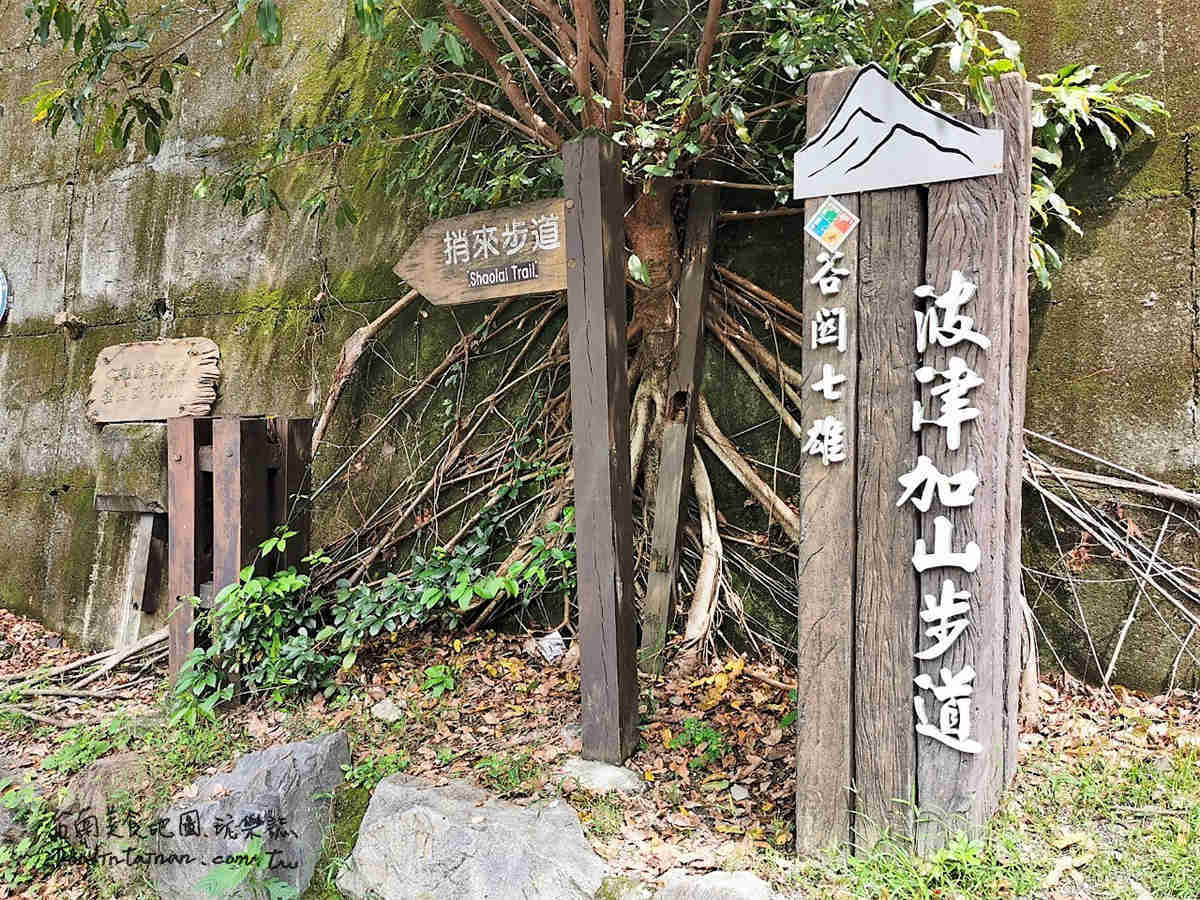 大臺中千年五葉松神木姻綠豬四方水第一家首間檜木溫泉標章旅館-谷關神木谷假期大飯店