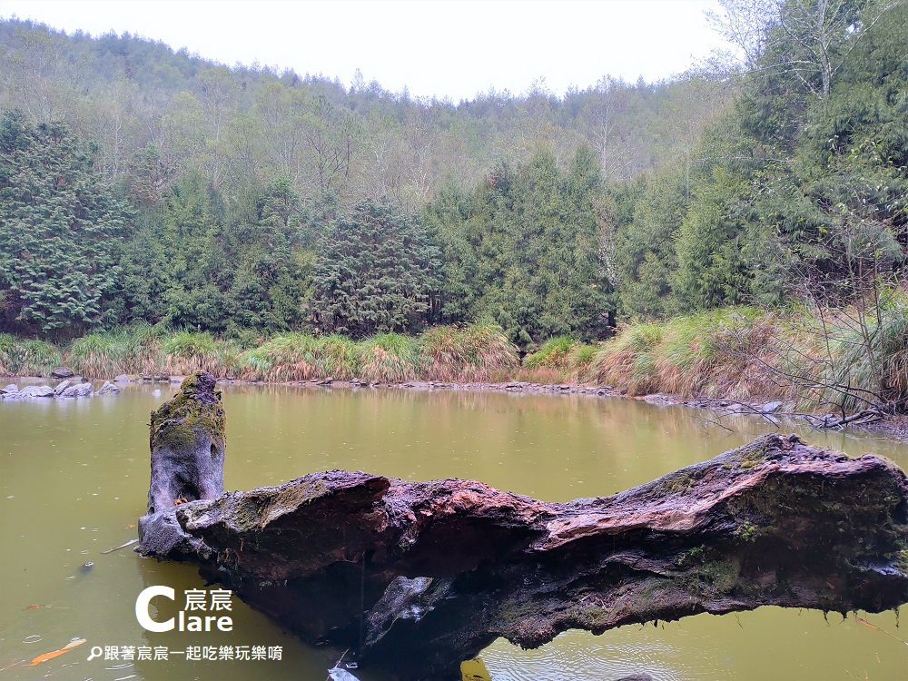 天池心型高山湖泊2-【高雄旅遊】南橫公路臺20線梅山口至天池段｜玉山國家公園.jpg